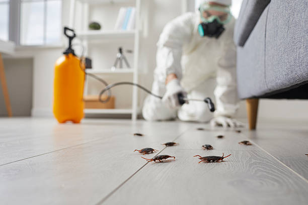 Commercial Kitchen Cockroach Control in Pleasantville